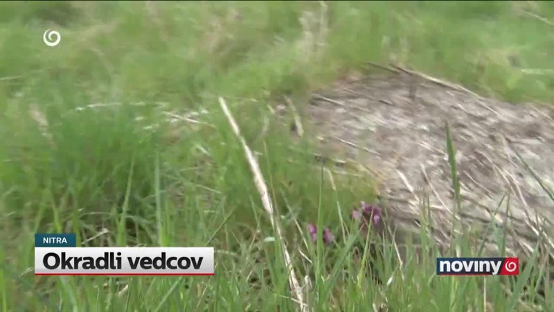 Okradli vedcov