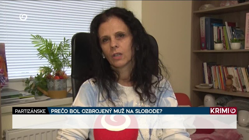 PREČO BOL OZBROJENÝ MUŽ NA SLOBODE?