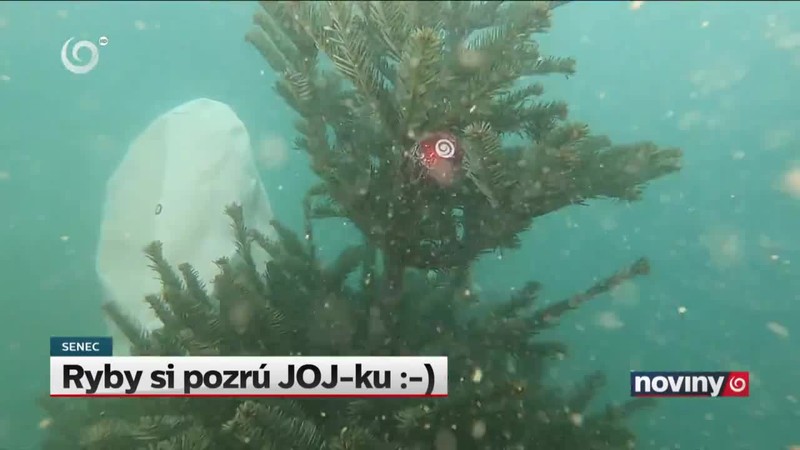 Ryby si pozrú JOJ-ku :-)