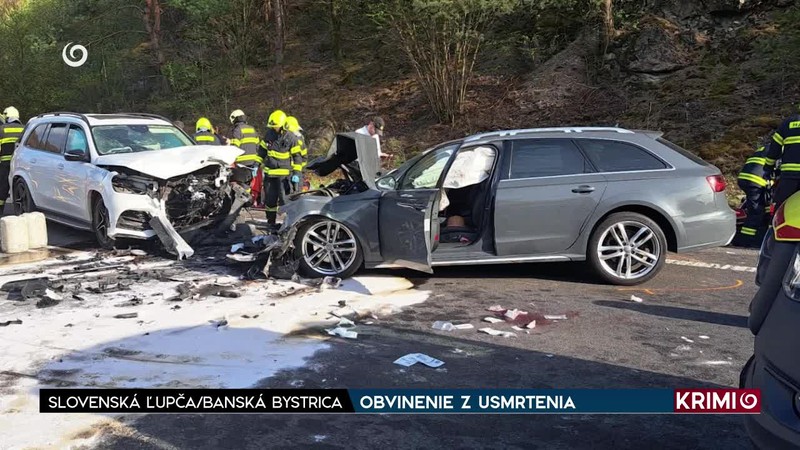 OBVINENIE Z USMRTENIA