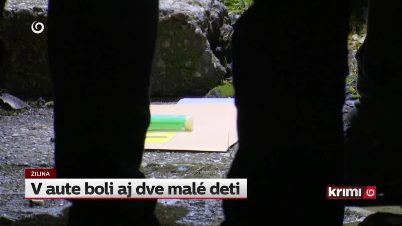 V aute boli aj dve malé deti