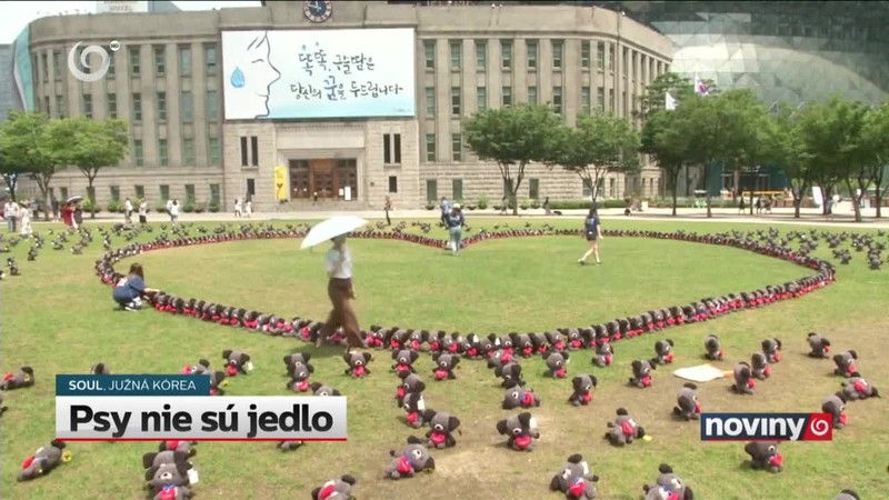Psy nie sú jedlo