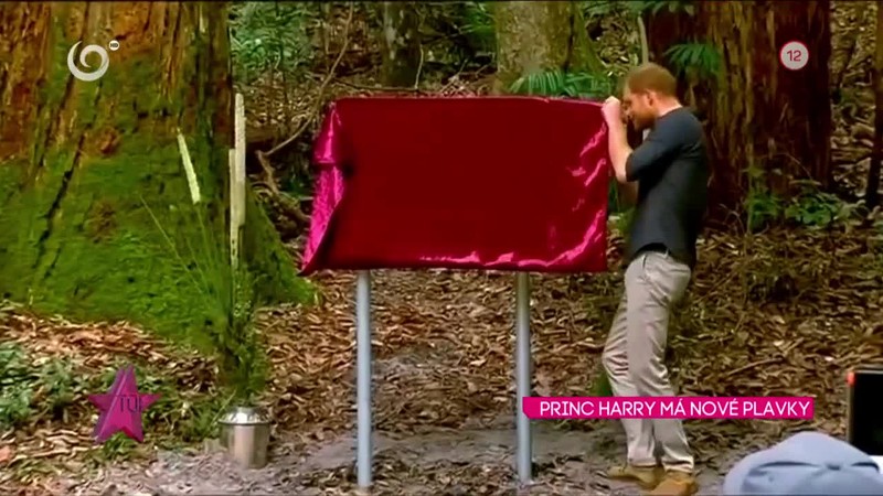PRINC HARRY MÁ NOVÉ PLAVKY
