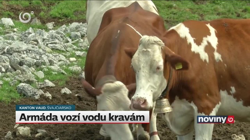 Armáda vozí vodu kravám