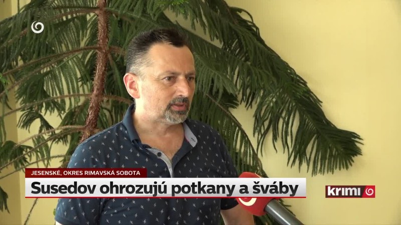 Susedov ohrozujú potkany a šváby