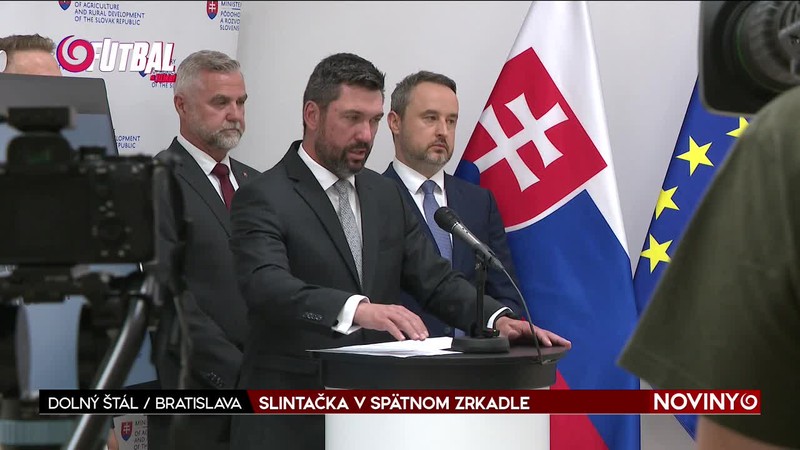 SLINTAČKA V SPÄTNOM ZRKADL