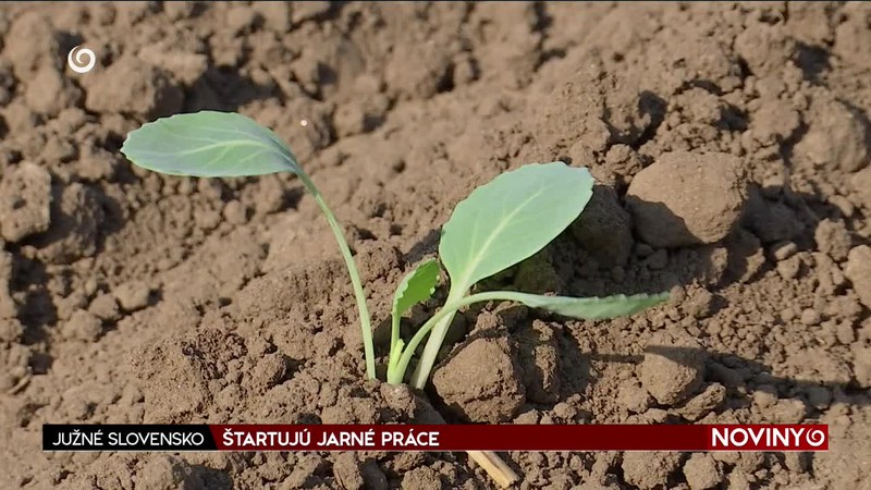 ŠTARTUJÚ JARNÉ PRÁCE