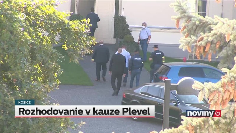 Rozhodovanie v kauze Plevel