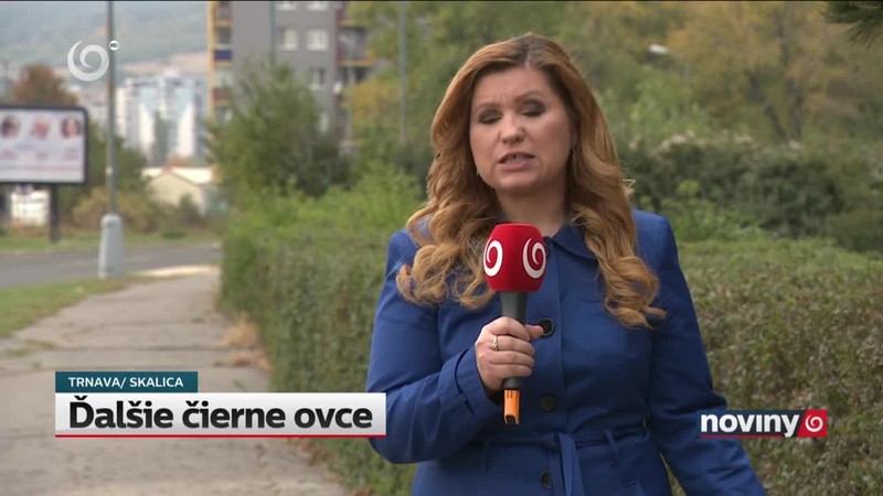 Ďalšie čierne ovce