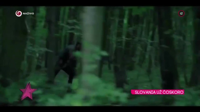 SLOVANIA UŽ ČOSKORO