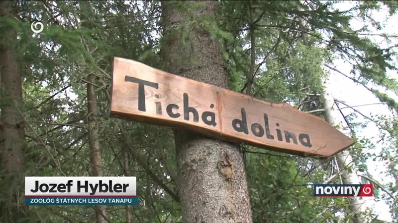 Medvediu rodinku presťahovali