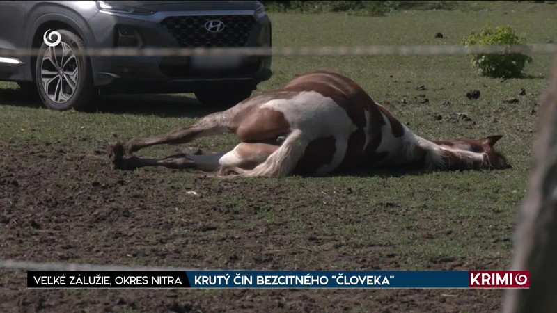 KRUTÝ ČIN BEZCITNÉHO "ČLOVEKA"