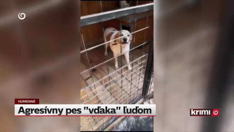Agresívny pes "vďaka" ľuďom