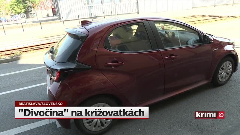 "Divočina" na križovatkách