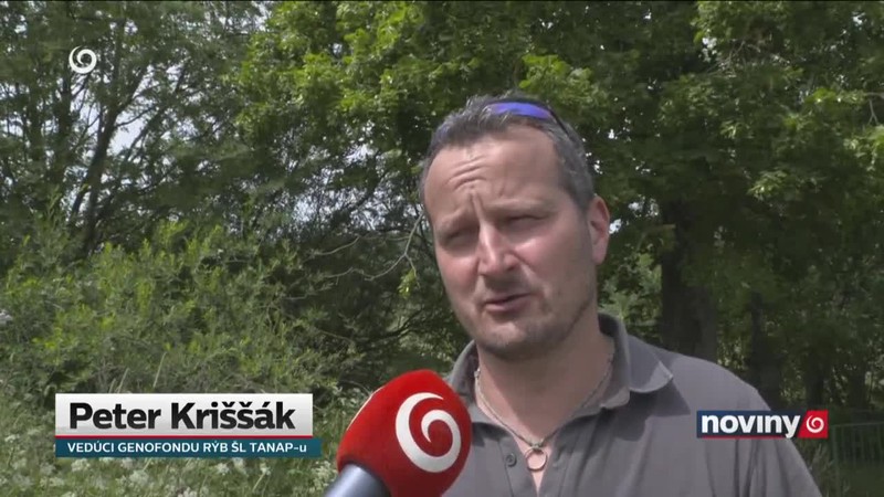 Aby v potokoch plávali ryby