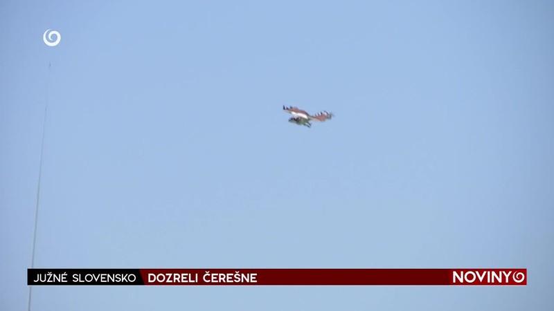 DOZRELI ČEREŠNE