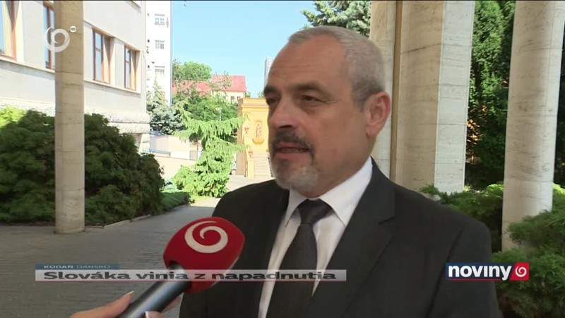 Slováka vinia z napadnutia