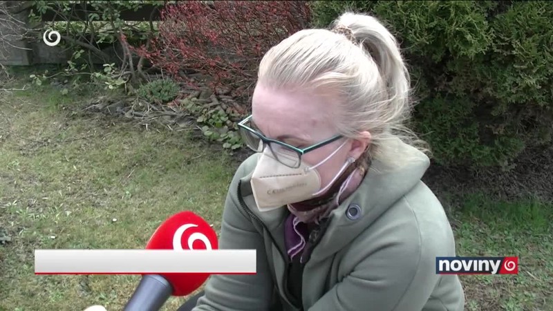 Veveričky v osvetlení
