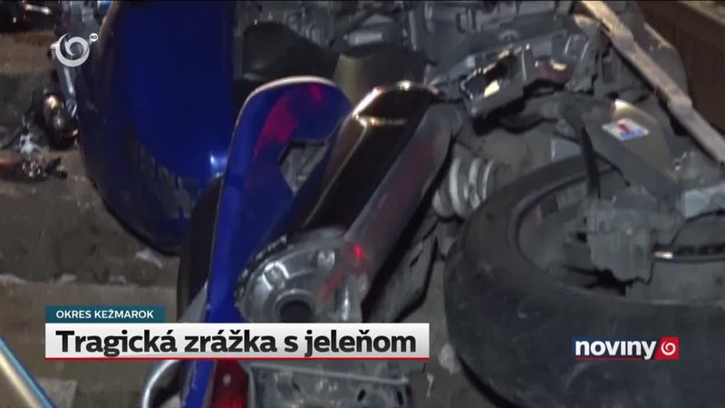 Tragická zrážka s jeleňom