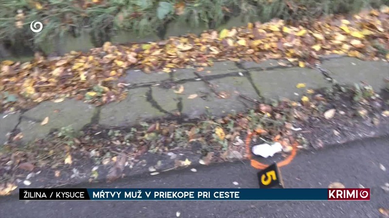 MŔTVY MUŽ V PRIEKOPE PRI CESTE