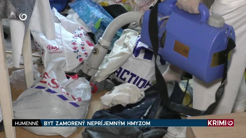 BYT ZAMORENÝ NEPRÍJEMNÝM HMYZOM