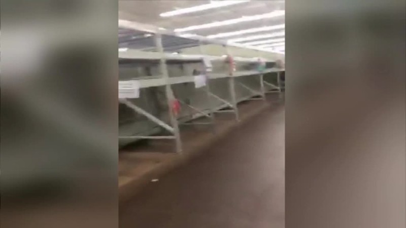 Irma a Florida