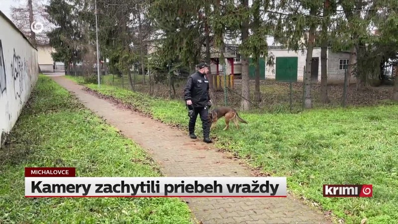 Kamery zachytili priebeh vraždy