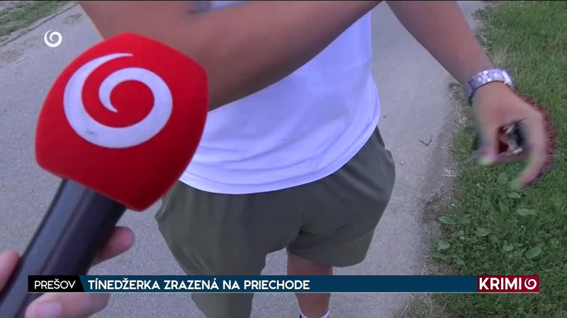 TÍNEDŽERKA ZRAZENÁ NA PRIECHODE