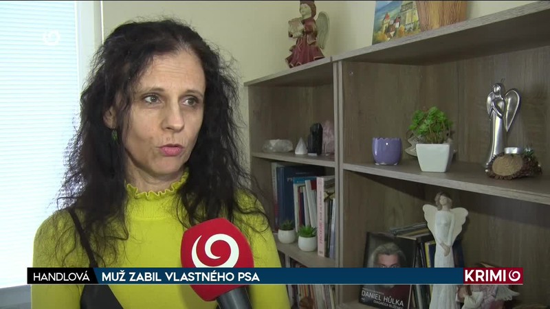 MUŽ ZABIL VLASTNÉHO PSA