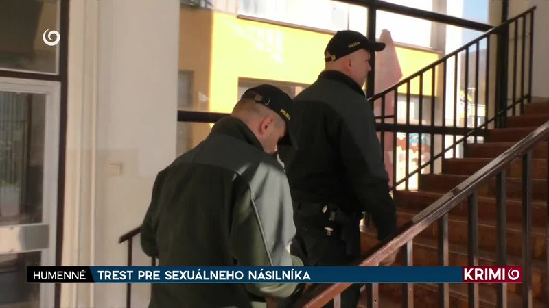 TREST PRE SEXUÁLNEHO NÁSILNÍKA