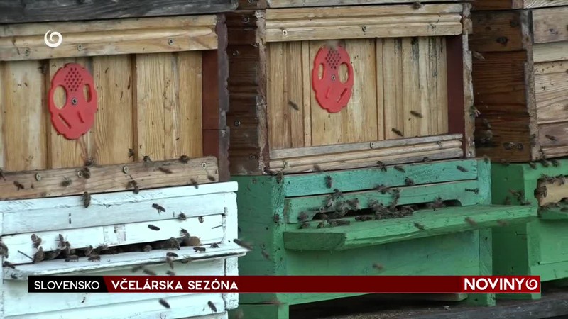 VČELÁRSKA SEZÓNA