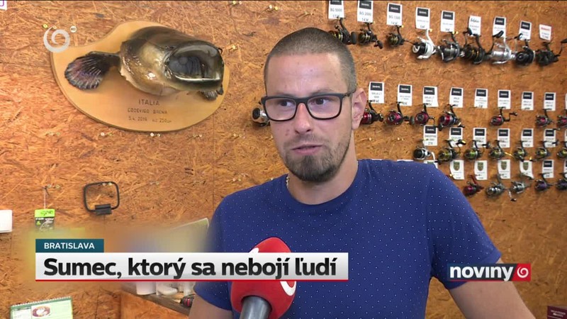 Sumec, ktorý sa nebojí ľudí