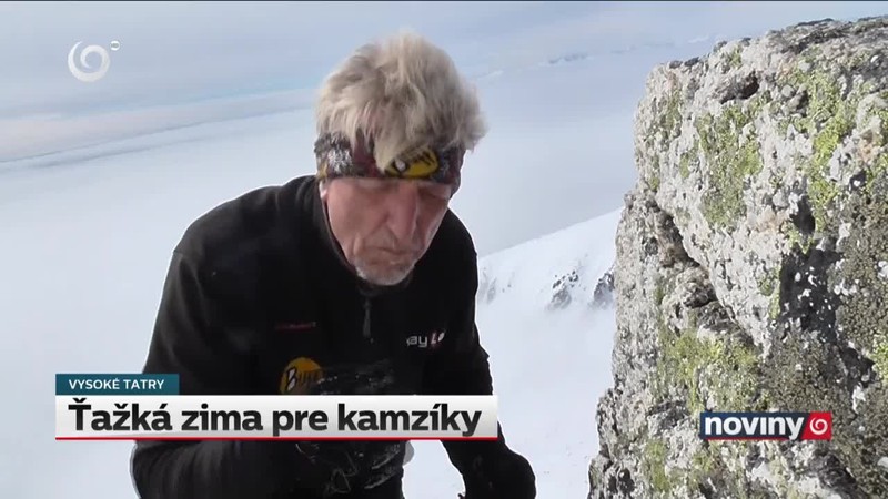 Ťažká zima pre kamzíky