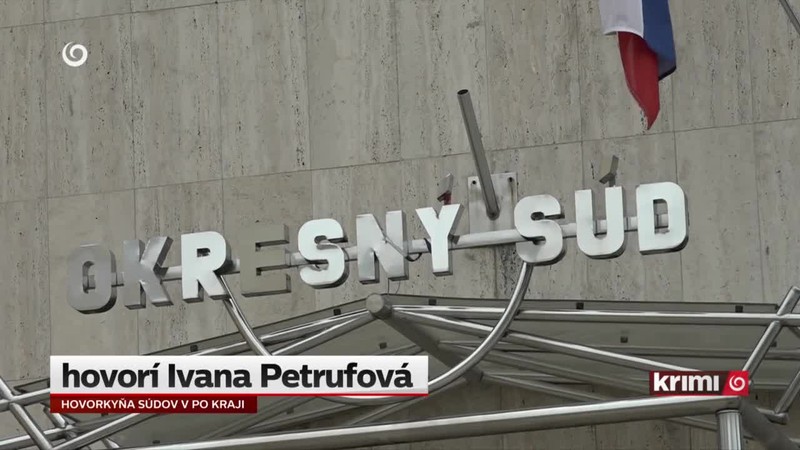 Väzba pre násilné činy voči žene