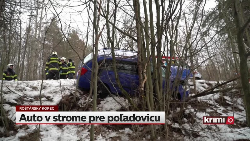 Auto v strome pre poľadovicu