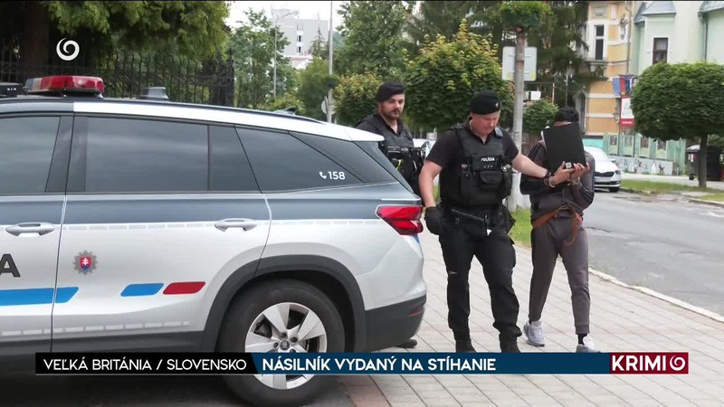 NÁSILNÍK VYDANÝ NA STÍHANIE