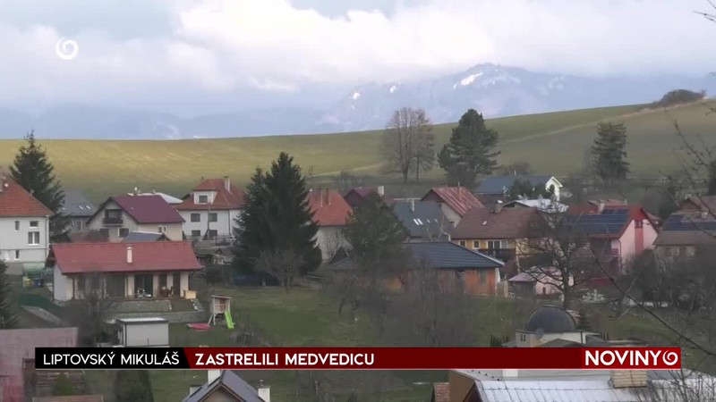 ZASTRELILI MEDVEDICU