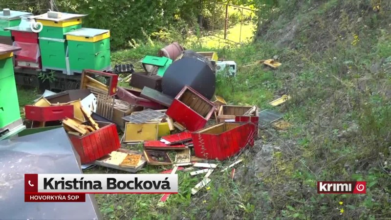 Medvede nebezpečne blízko ľuďom