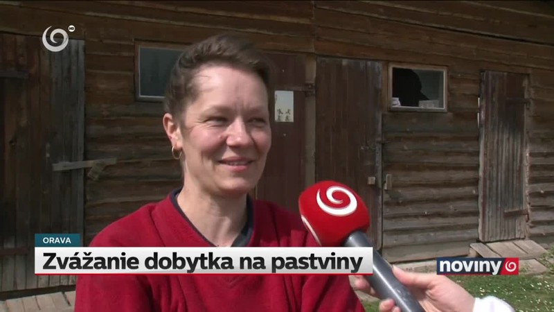 Zvážanie dobytka na pastviny