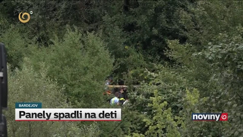 Panely spadli na deti