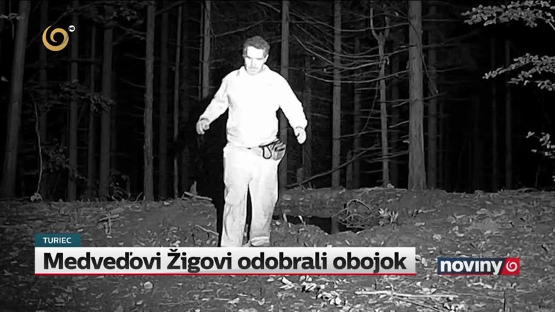 Medveďovi Žigovi odobrali obojok