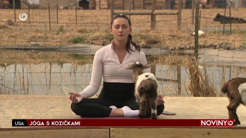 JÓGA S KOZIČKAMI