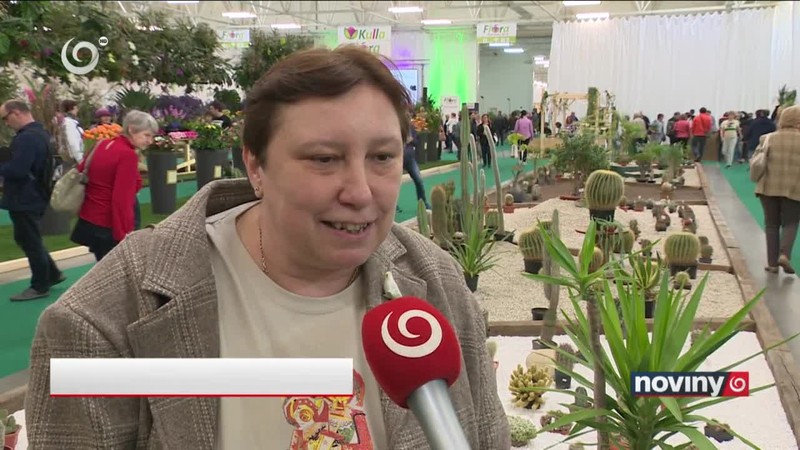 Kvetom roka 2019 je magnólia