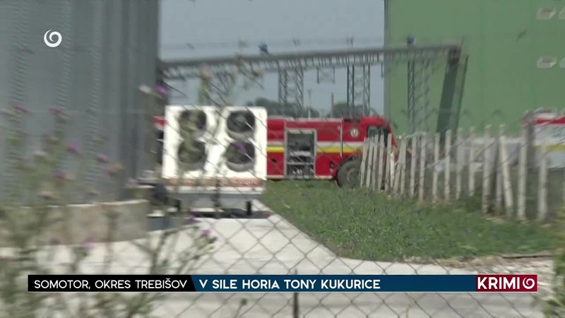 V SILE HORIA TONY KUKURICE