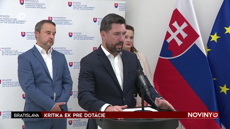 KRITIKA EK PRE DOTÁCIE