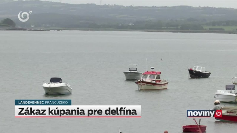 Zákaz kúpania pre delfína