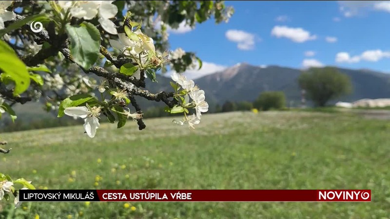CESTA USTÚPILA VŔBE