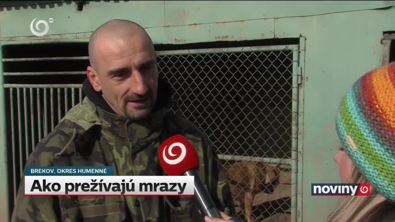 Ako prežívajú mrazy