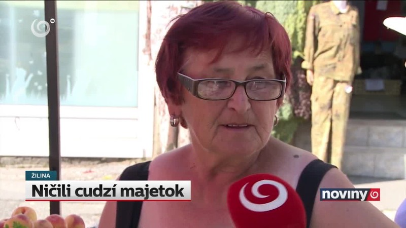 Ničili cudzí majetok