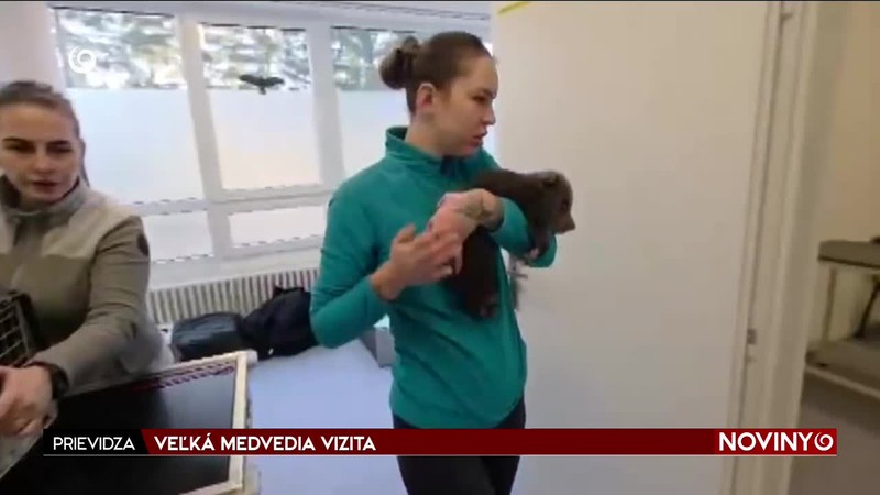 VEĽKÁ MEDVEDIA VIZITA